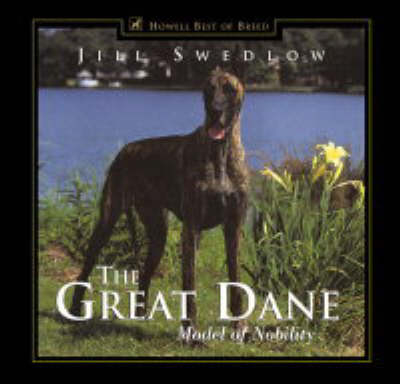 The Great Dane - Model of Nobility -  Swedlow