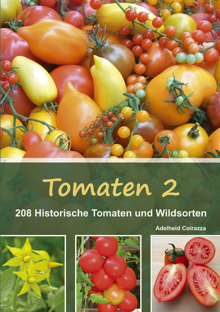 Tomaten 2