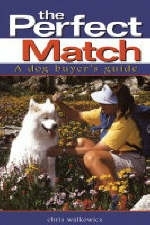 The Perfect Match - Chris Walkowicz