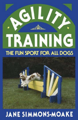 Agility Training