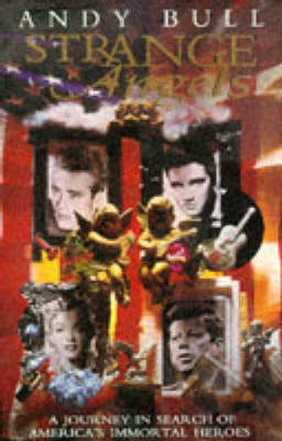 Strange Angels - Andy Bull