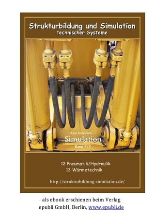 Strukturbildung und Simulation Band 7