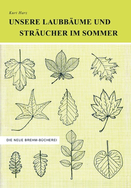 Unsere Laubb&auml;ume und Str&auml;ucher im Sommer - Kurt Harz