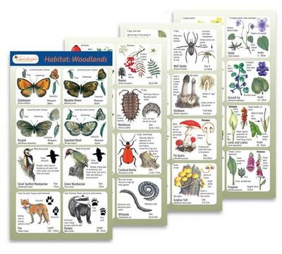 Habitat Woodlands - Lynette Merrick