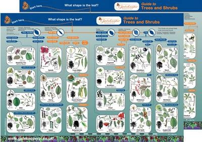 Guide to Trees and Shrubs - Lynette Merrick