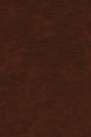 Supergene and Surficial Ore Deposits