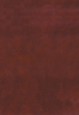 Au, U, Fe, Mn, Hg, Sb, W, and P Deposits