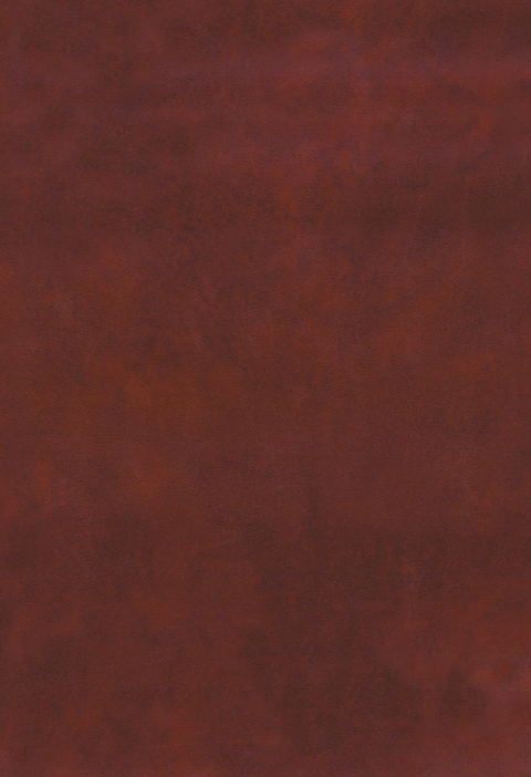 Au, U, Fe, Mn, Hg, Sb, W, and P Deposits -  Bozzano G Luisa