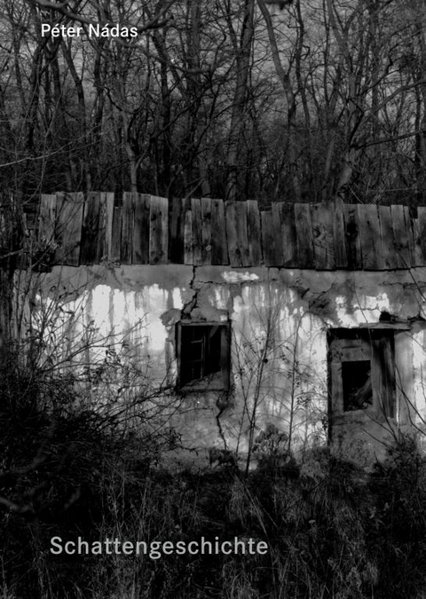 Schattengeschichte &ndash; Lichtgeschichte - P&eacute;ter Nadas