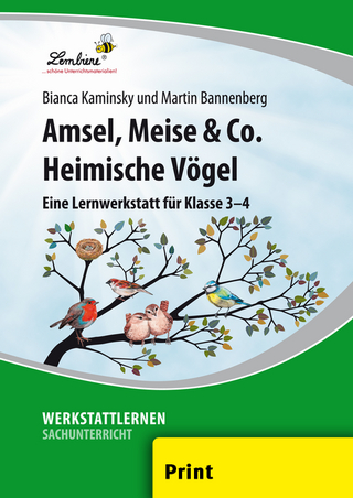 Amsel, Meise & Co: Heimische Vögel