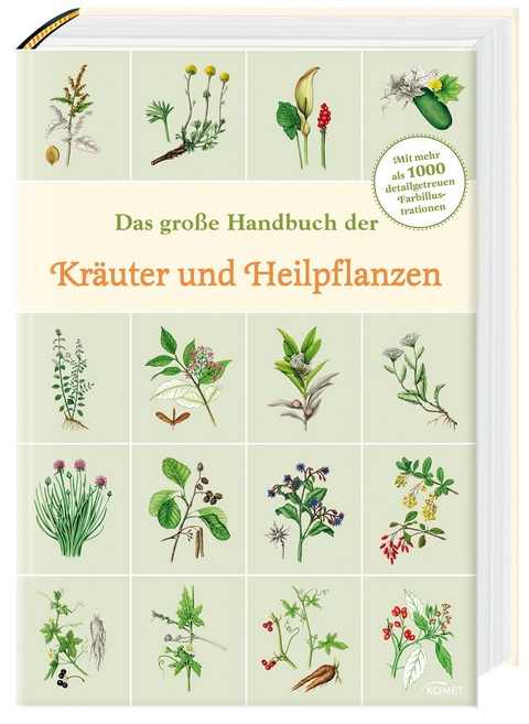 Das große Handbuch der Kräuter und Heilpflanzen