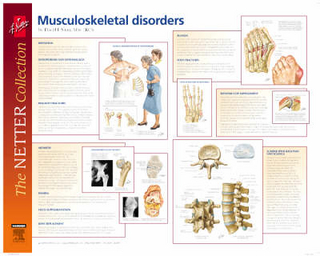Frank H. Netter Musculoskeletal Disorders Poster