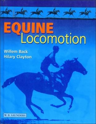 Equine Locomotion