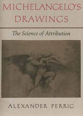 Michelangelo's Drawings - Alexander Perrig