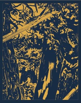 Jim Hodges: Give More Than You Take - 