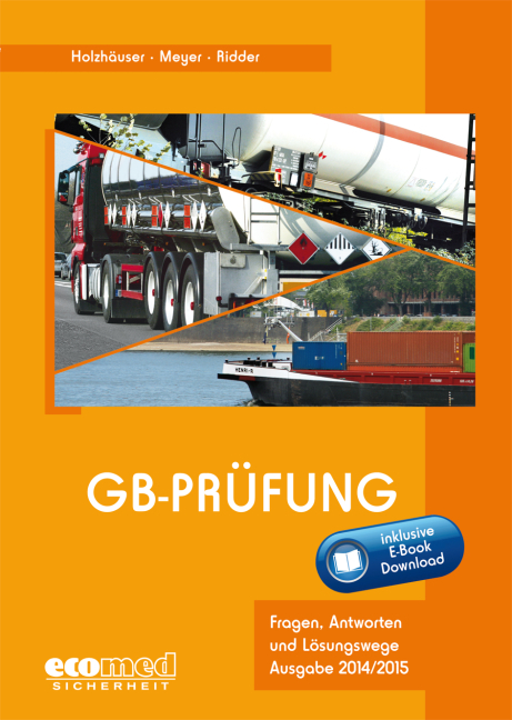 Gb-Pr&uuml;fung inklusive E-Book - J&ouml;rg Holzh&auml;user, Klaus Ridder, Irena Meyer