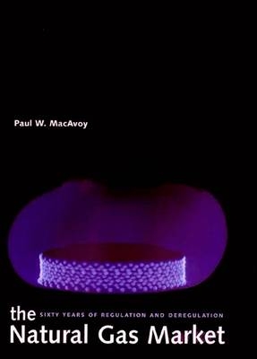 The Natural Gas Market