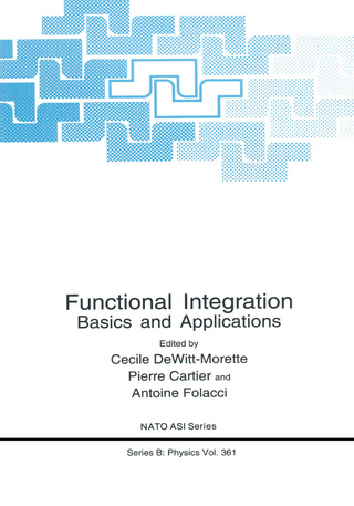 Functional Integration