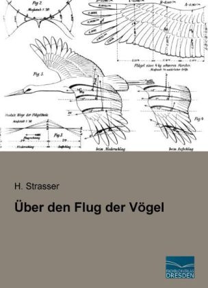Über den Flug der Vögel