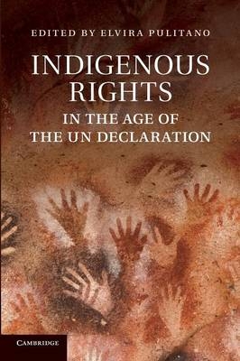 Indigenous Rights in the Age of the UN Declaration - 