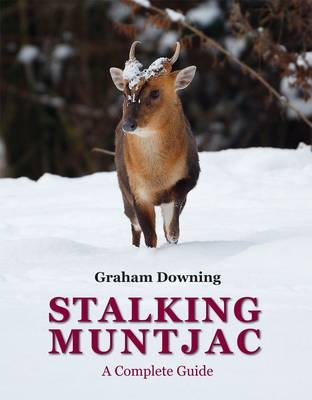 Stalking Muntjac - Graham Downing