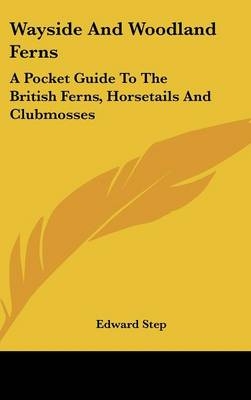 Wayside And Woodland Ferns - Edward Step