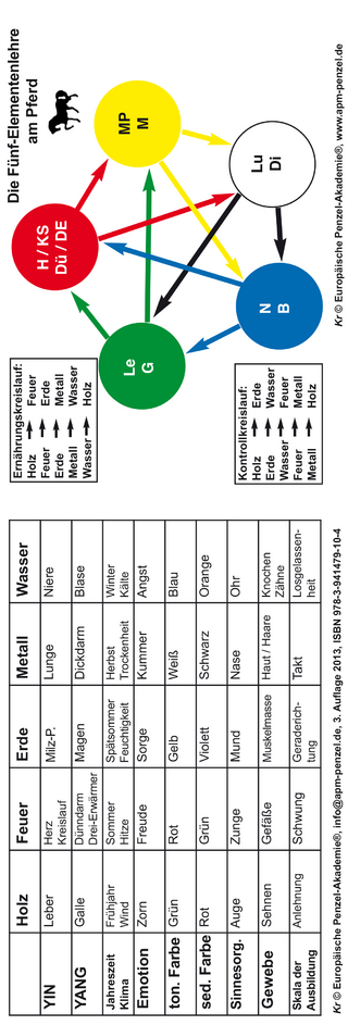 Die Fünf-Elementenlehre am Pferd