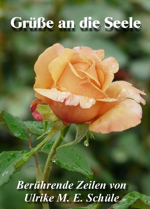 Gr&uuml;&szlig;e an die Seele - Ulrike M. E. Sch&uuml;le