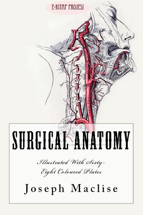 Surgical Anatomy - Joseph Maclise