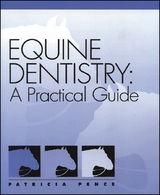 Equine Dentistry - Patricia Pence
