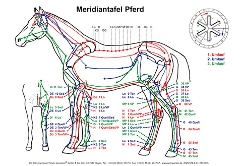 Meridiantafel Pferd - Ingrid Uta Krause