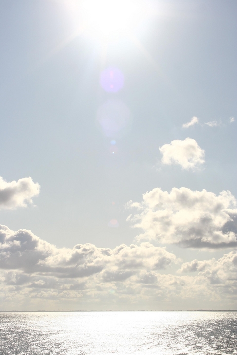 Planet Freiheit - Madelaine Kaufmann