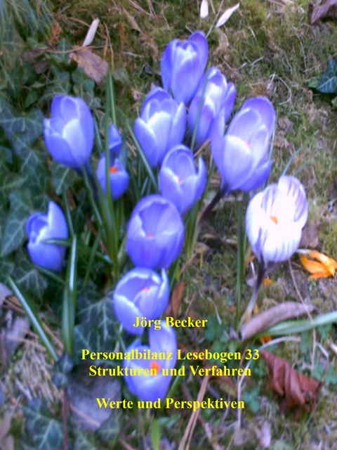 Personalbilanz Lesebogen 33 Strukturen und Verfahren - J&ouml;rg Becker