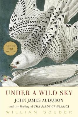 Under a Wild Sky - William Souder