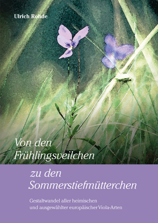 Von den Frühlingsveilchen zu den Sommerstiefmütterchen