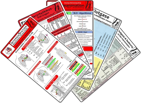 Intensiv-Station Karten-Set 2025 - EKG Diagnostik & Ableitungen, Herzrhythmusst&ouml;rungen, Reanimation - Innerklinisch, Blutgase, S&auml;ure-Basen & Elektrolyte -Intensiv-, Analgesie & Sedierung auf der Intensivstation - 
