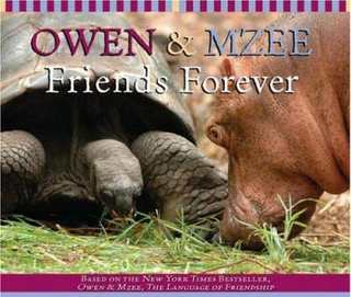 Owen and Mzee