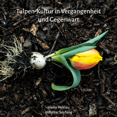 Tulpen-Kultur in Vergangenheit und Gegenwart - Heike Heklau