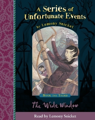 Book the Third &ndash; The Wide Window - Lemony Snicket