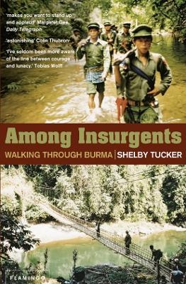 Among Insurgents