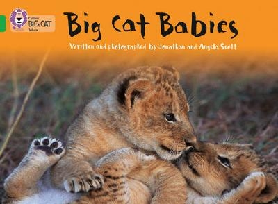 Big Cat Babies - Jonathan Scott, Angela Scott