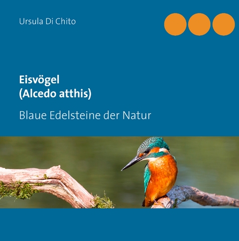 Eisv&ouml;gel (Alcedo atthis) - Ursula Di Chito