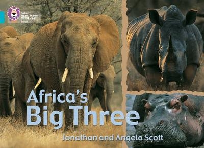 Africa&rsquo;s Big Three - Jonathan Scott, Angela Scott