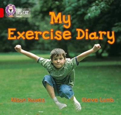 My Exercise Diary - Alison Hawes