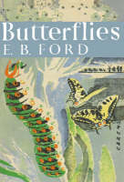 Butterflies - E. B. Ford