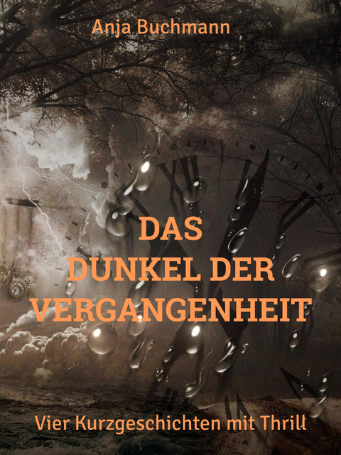 Das Dunkel der Vergangenheit - Anja Buchmann
