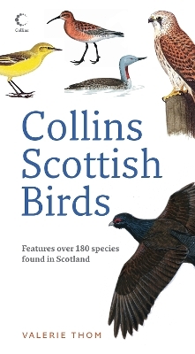 Collins Scottish Birds - Valerie Thom