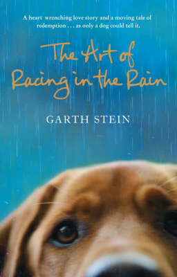 The Art of Racing in the Rain - Garth Stein