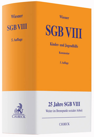 SGB VIII