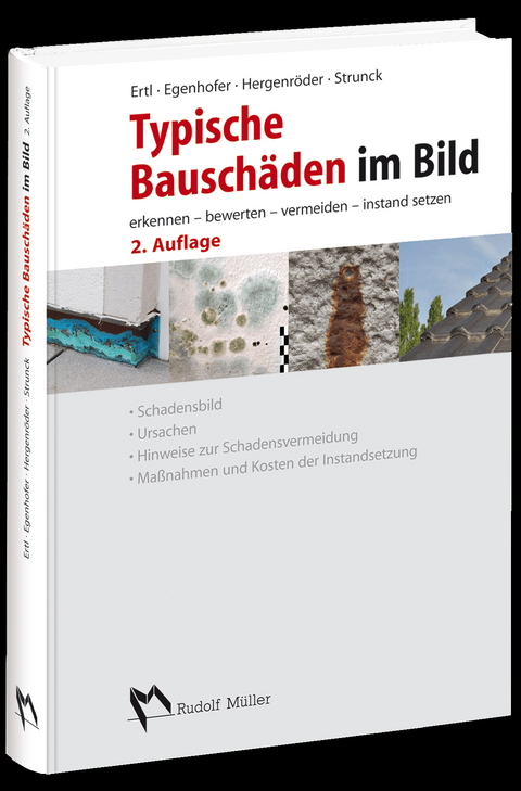 Typische Bausch&auml;den im Bild - Ralf Ertl, Martin Egenhofer, Michael Hergenr&ouml;der, Thomas Strunck